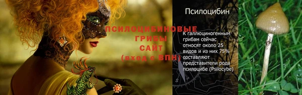 прущие крисы Алексеевка