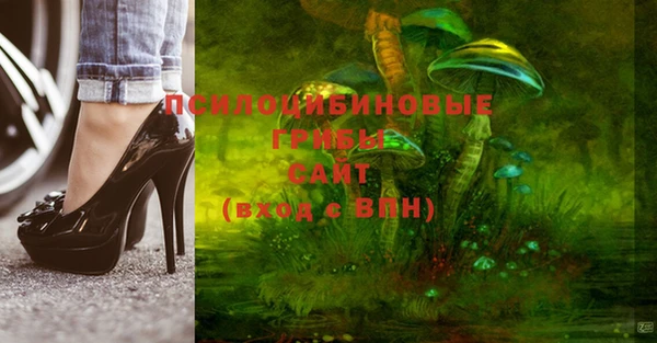 прущие крисы Алексеевка